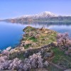 تور لحظه آخری وان ترکیه