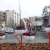 فلاورباکس های شیک شهری