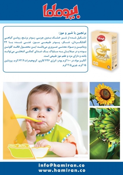شرکت حامیران