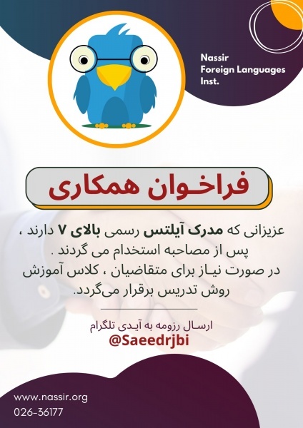 موسسات زبان نصیر